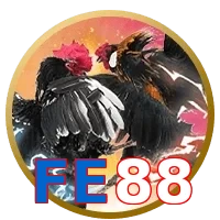 FE88