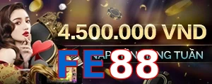 FE88
